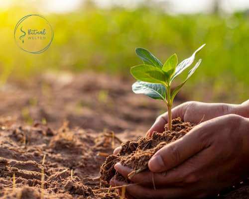 Neubeginn - Räucher Ritual